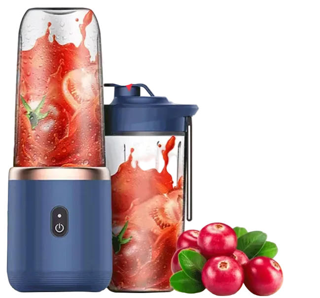 Portable mini blender